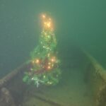 TCWN Christbaumversenken 08.12.2024